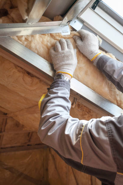 Professional Insulation Contractor in Copper Canyon, TX