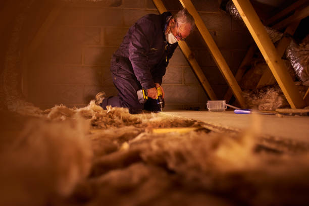 Best Insulation Maintenance and Repair in Copper Canyon, TX